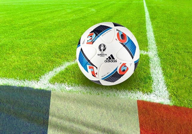 Free soccer playing field corner illustration