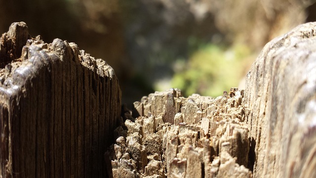 Free Wood Close Up photo and picture