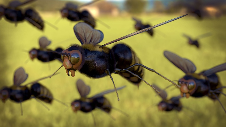 bee-3d-honey-free-image-on-pixabay