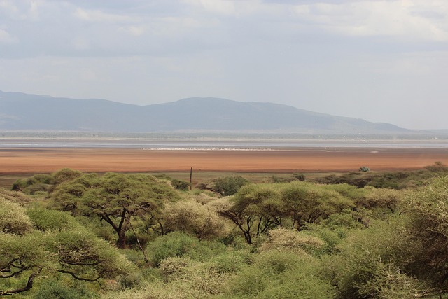 Free Plain Safari photo and picture