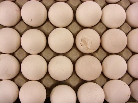 Eieren, Gebroken, Natuurlijk Product