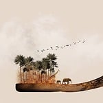 africa, environment, brand