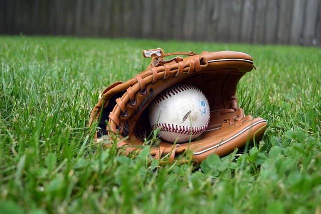 Free Baseball Glove photo and picture