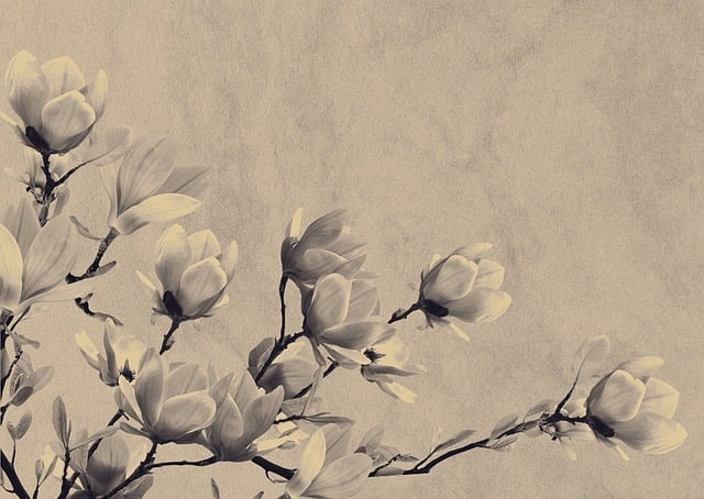 Free background floral background old-fashioned illustration