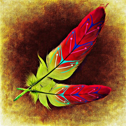 1,000+ Free Feathers &amp; Feather Illustrations - Pixabay
