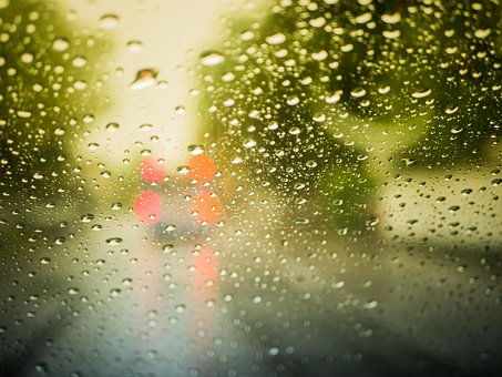 Free Raindrop Rain photo and picture