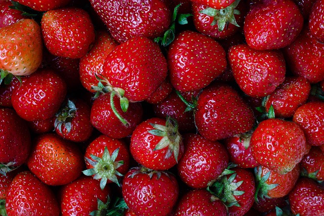 Free Strawberry Berry photo and picture