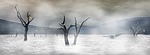 lake, sea, water