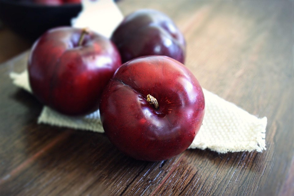 Plum Fruit Food - Free photo on Pixabay