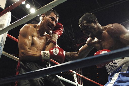 Free Boxer Boxing photo and picture