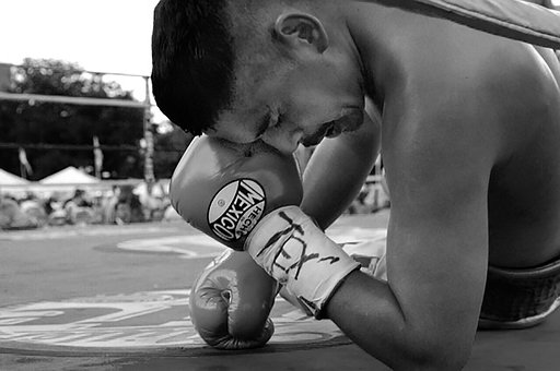 Free Boxer Tex photo and picture