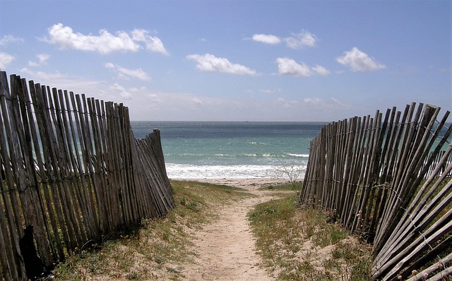 Free Beach Fences photo and picture