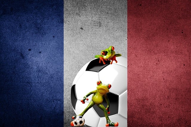 Free european championship soccer france illustration