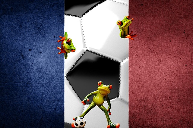 Free european championship soccer france illustration
