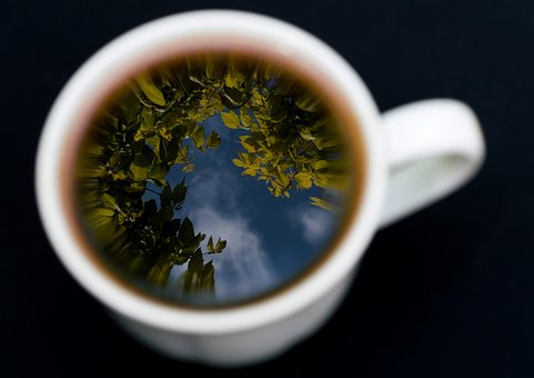 Free Mug Cup photo and picture