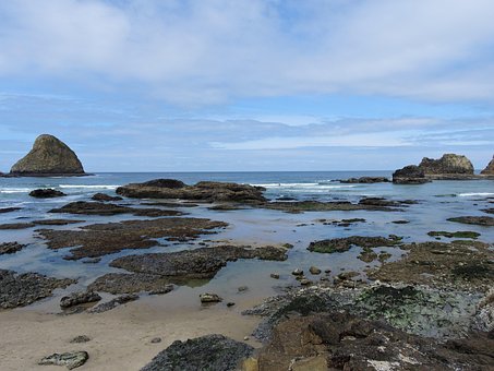 Kyst, Oregon Kyst, Ocean, Vand, Strand