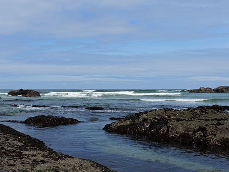 Kyst, Oregon Kyst, Ocean, Vand, Strand