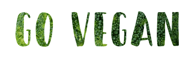 Free vegan slogan motivational illustration