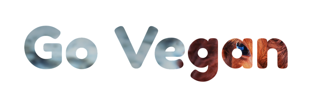 Vegan, Lema, Motivacionales, Vaca, Ojo