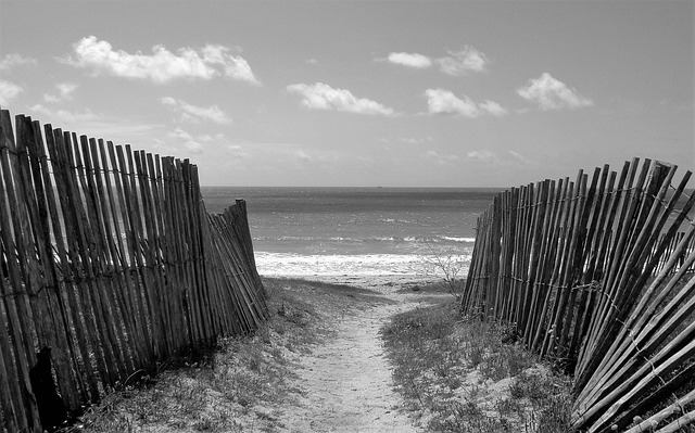 Free Sand Dunes Fences photo and picture