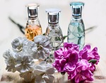 perfume, bottle, glass