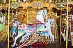carousel horses, carousel, horse