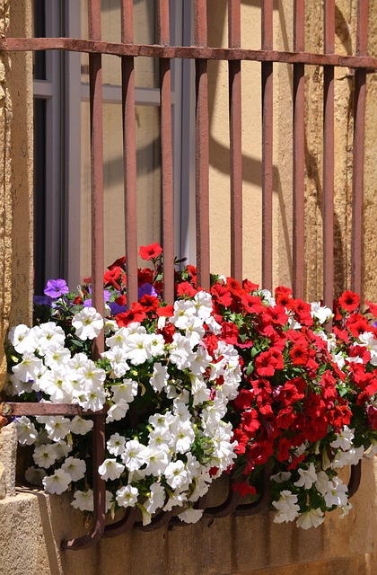 Flor, Ventanas, Pasamano