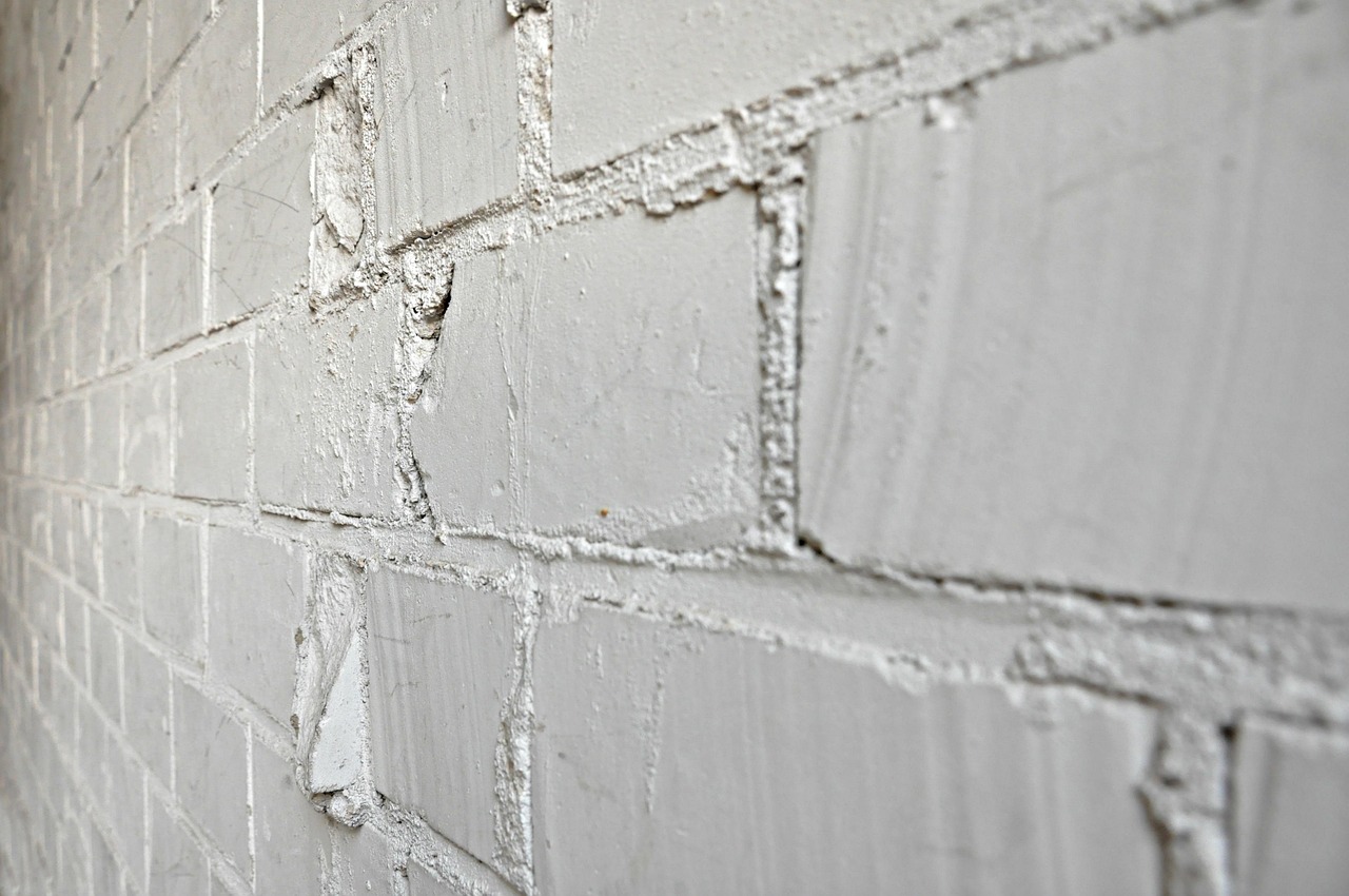 Wall - free online jigsaw puzzle photo