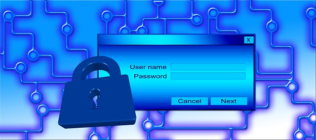 Free secure castle privacy policy illustration