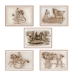 horse, riding, equestrian