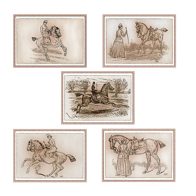 Free horse riding equestrian illustration