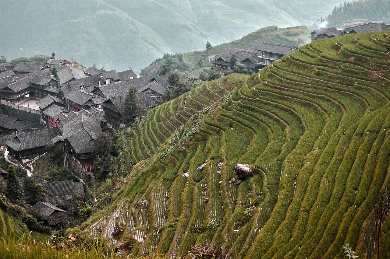 稻田 中国 视图 - Pixabay上的免费照片