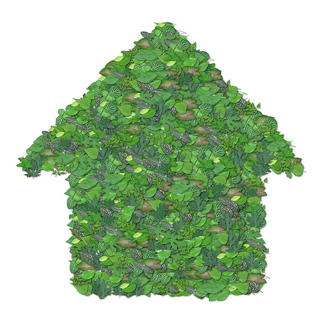 Free foliage green home illustration