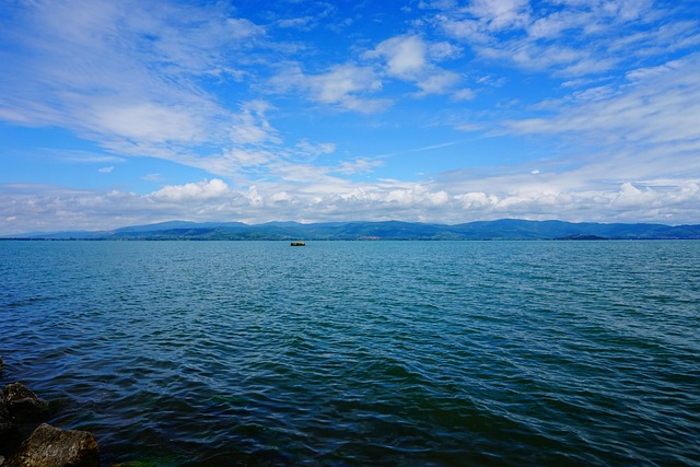 Free The Needle Trasimeno Lake photo and picture