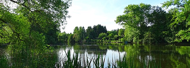 Landschaft, Wasser, Grün, Fluss