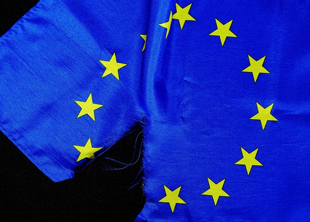 Free Ultimate Test Euro Flag photo and picture