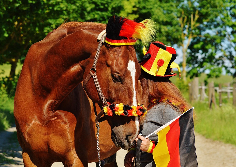 スイスが激戦を制し、初の世界選手権本戦進出へ