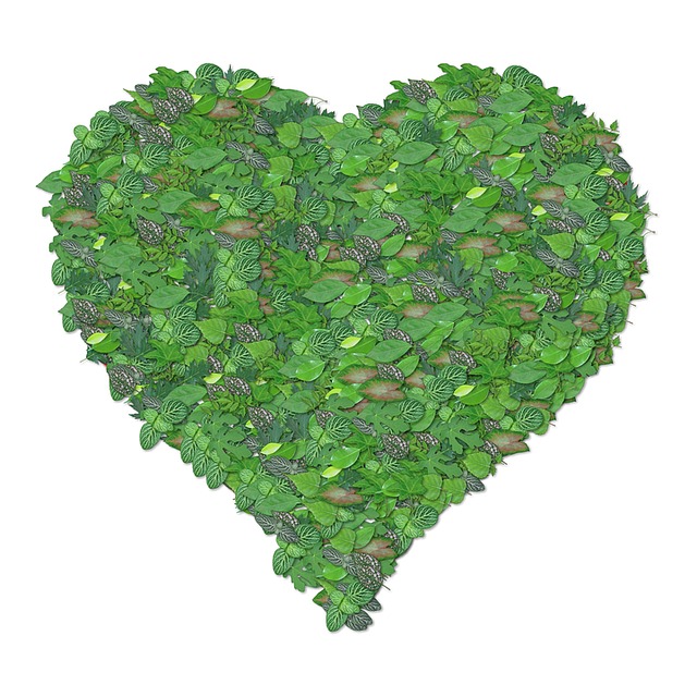 Free green heart eco ecology illustration