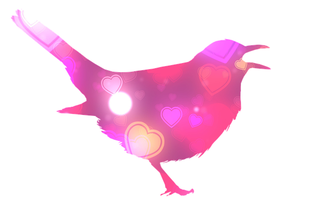 Download free HD stock image of Bird Nature Free bird nature silhouette illustration