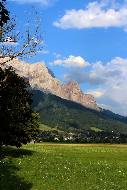 Free Mountains Meadow photo and picture