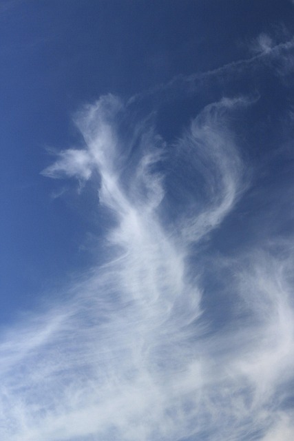 Free Heaven Blue photo and picture