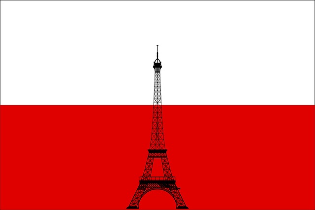 Free em2016 poland european championship illustration