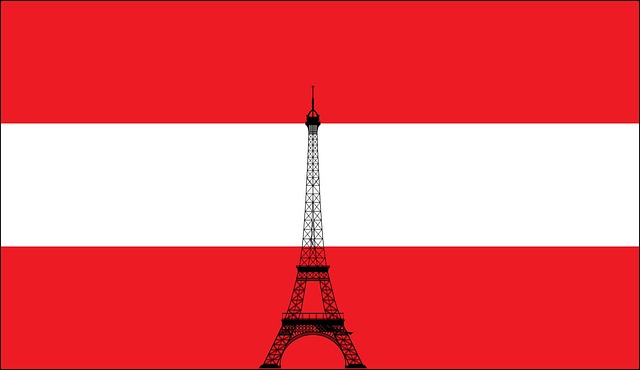 Free em2016 austria european football championship illustration