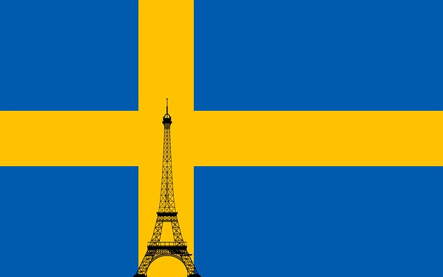 Free em2016 sweden european football championship illustration