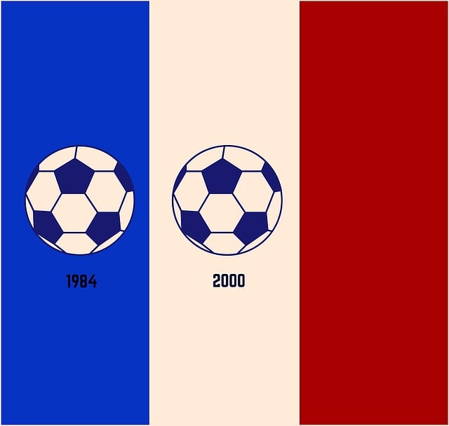 Free em2016 european championship european football championship illustration