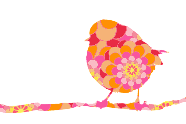 Free bird nature robin illustration