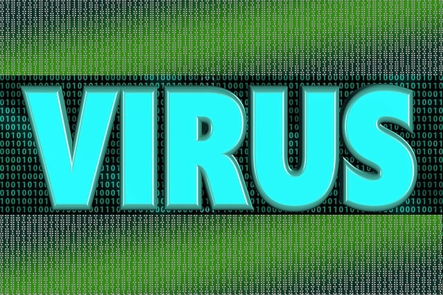 Computer, Virus, Trojan, Program, Dialog
