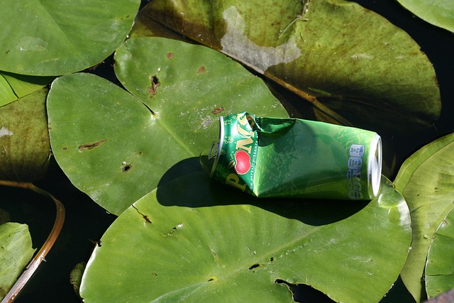 Free Pollution Water Lily Leaf photo and picture