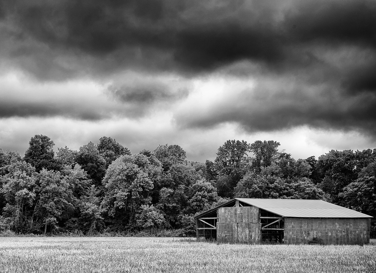 Monochrome - free online jigsaw puzzle photo