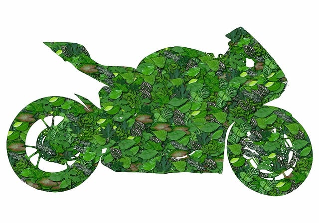 Free green bike ecology bike illustration